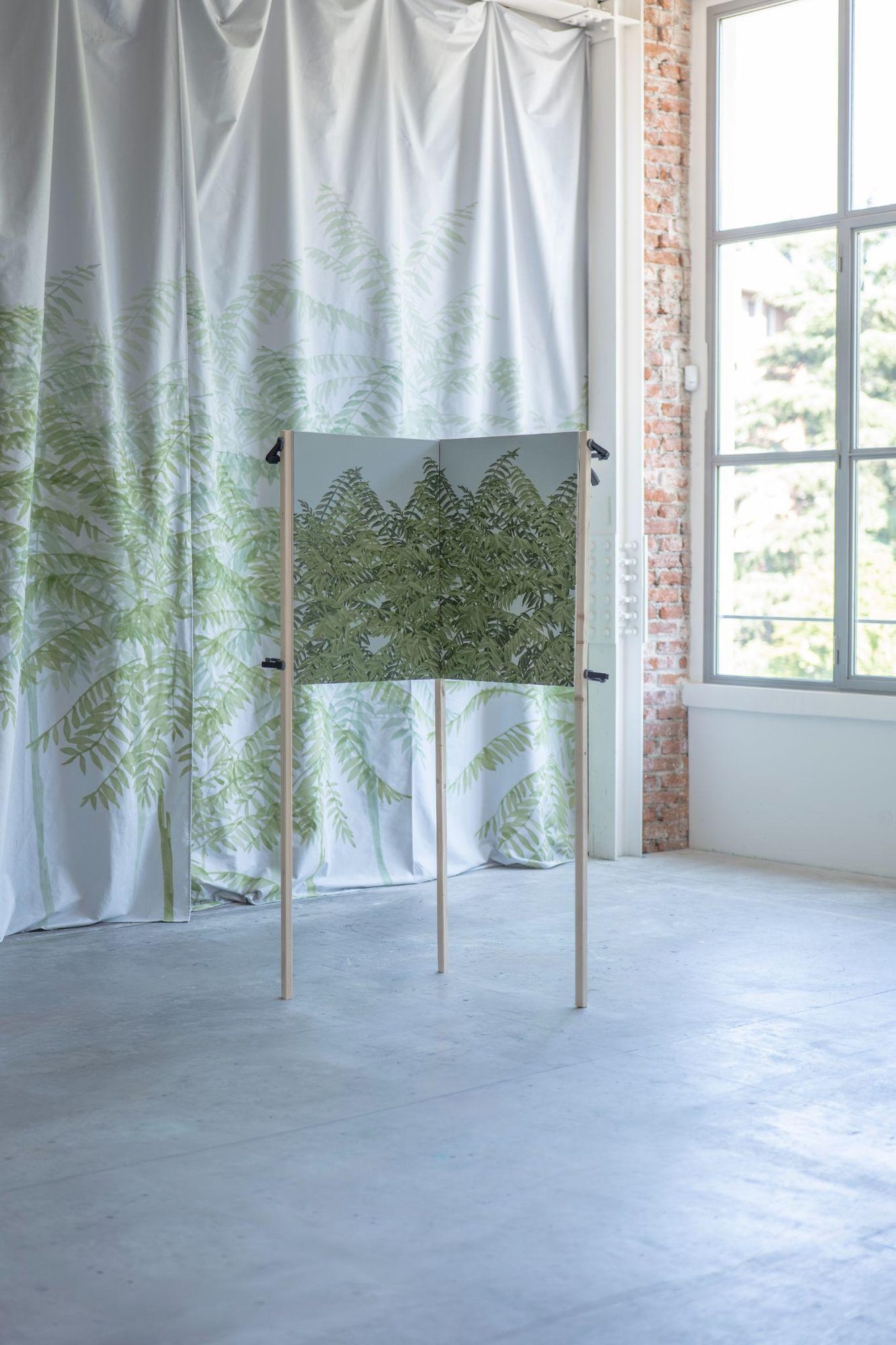 Ailanthus, installation view, 2026