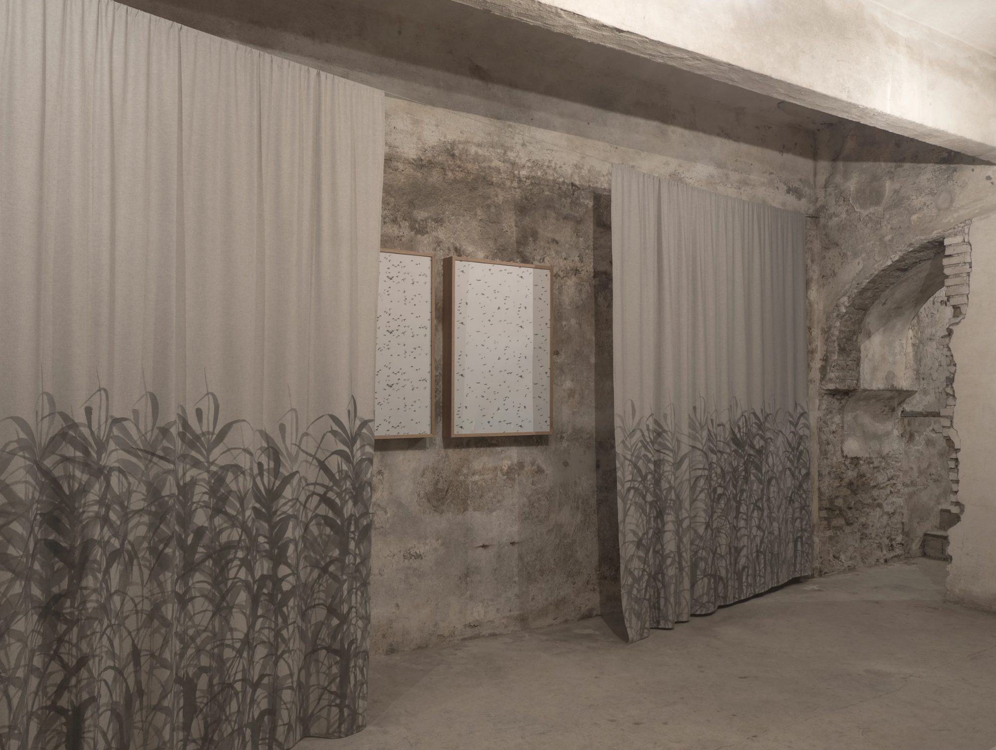 Fremo Immagine, installation view, Fondazione Pastificio Cerere, Rome, 2019