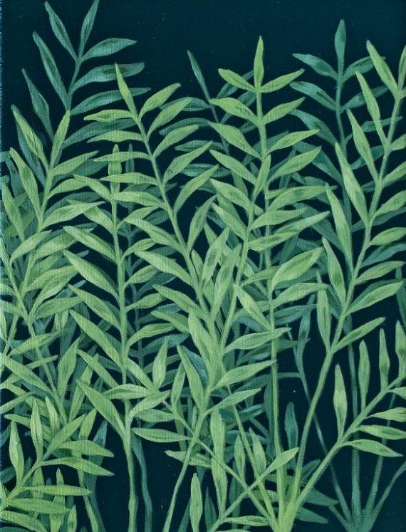Valeriana greca, detail, 2021