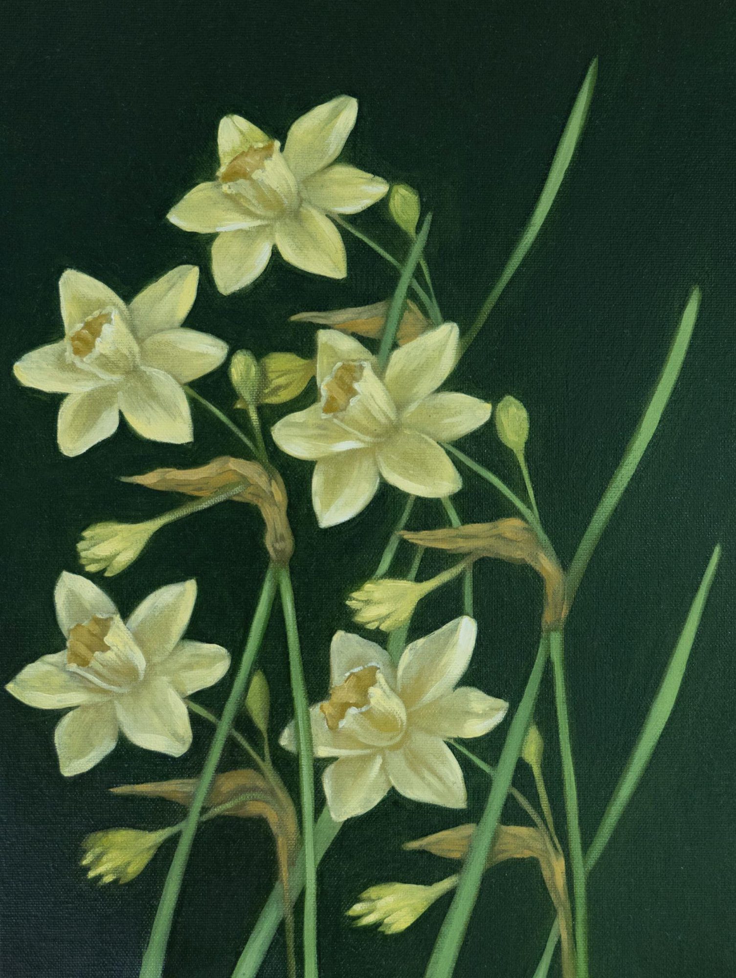Narcisi, oil on canvas, 20 × 30 cm, 2025